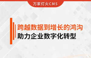 跨越數據到增長的鴻溝，助力企業數字化轉型